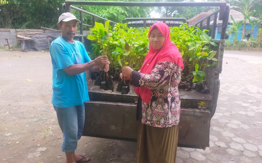 MI Al Anwar Nangsri Pundong