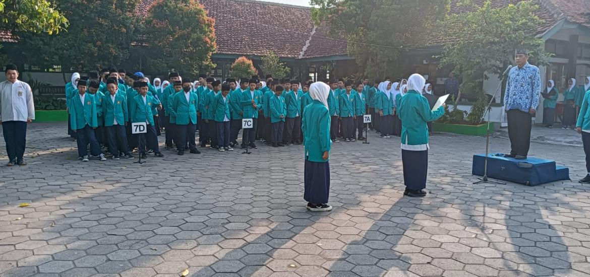 MTs7