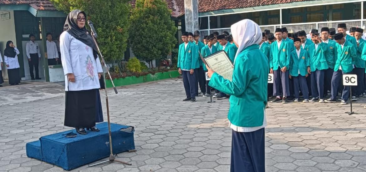 MTs7