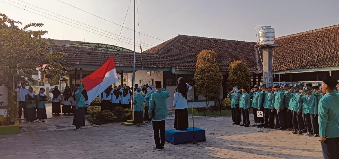 MTs7