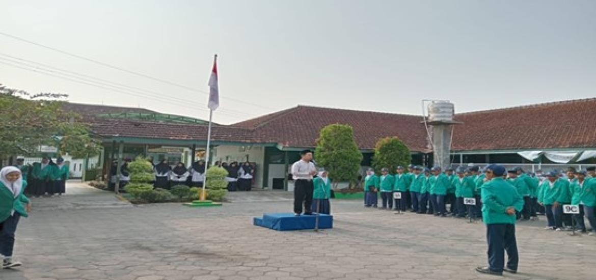 MTs7