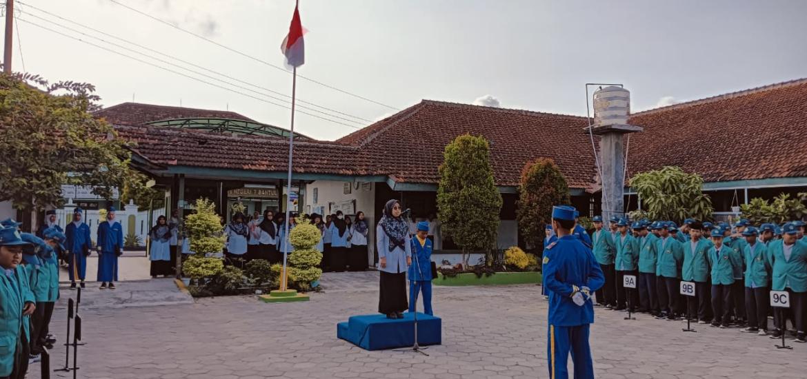MTs7