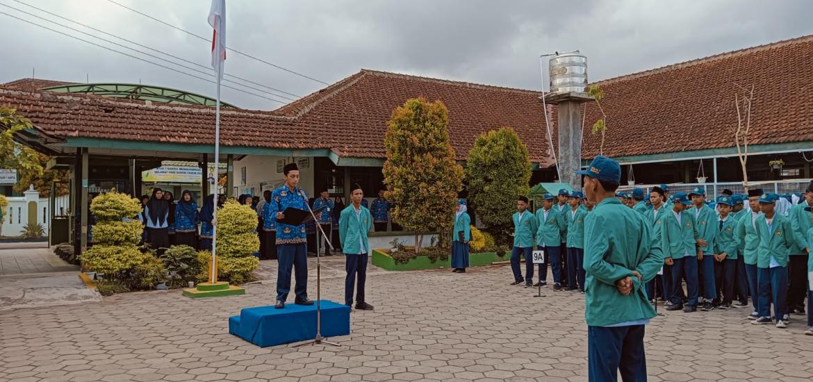 MTs7
