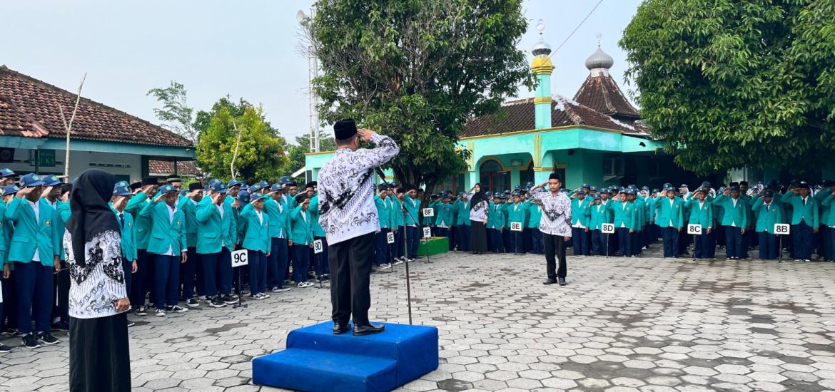 MTs7