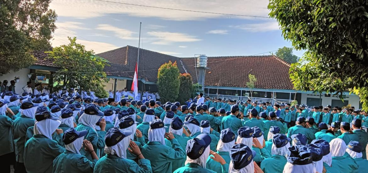 MTs7