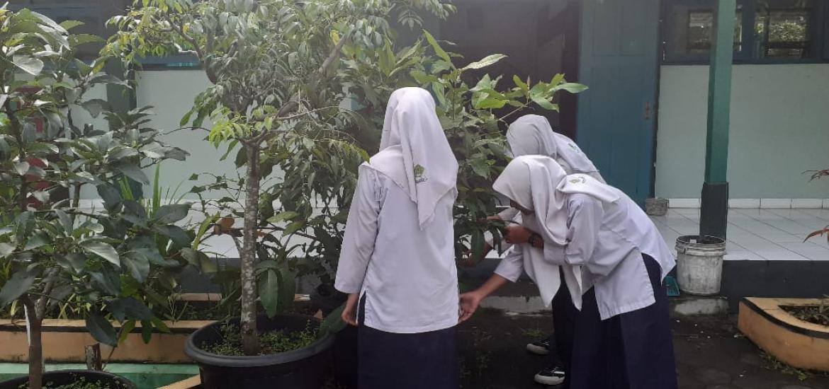 MTsN 5 Bantul