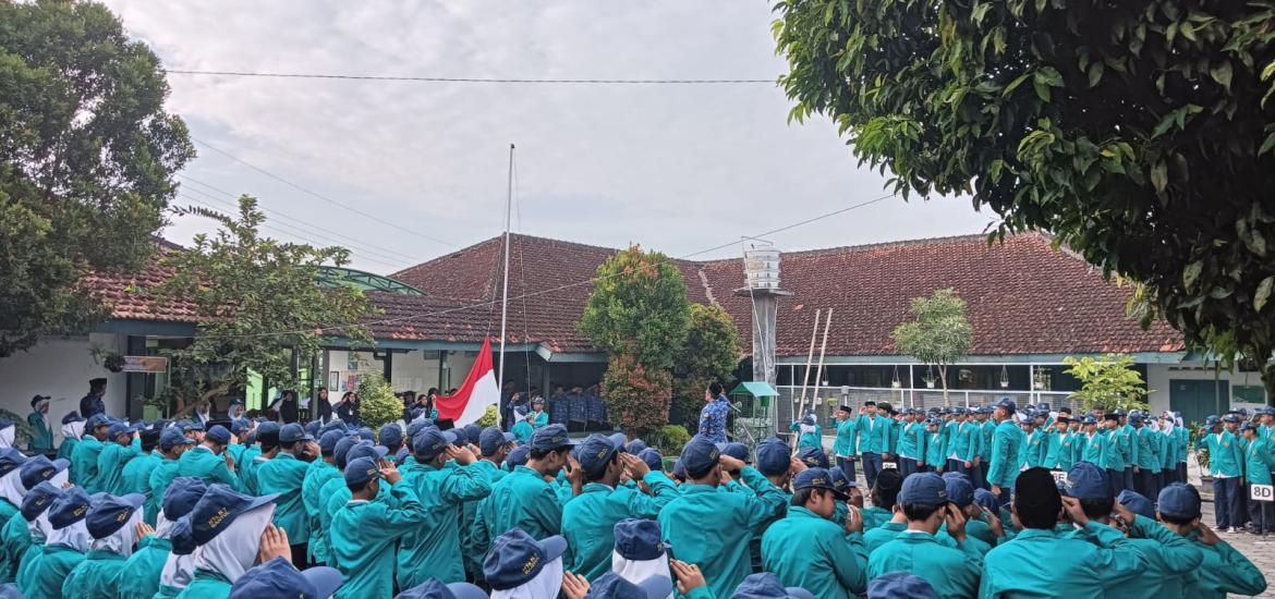 MTs7