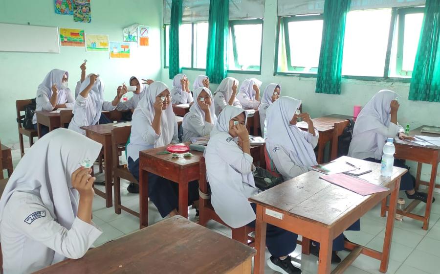 Mts 7