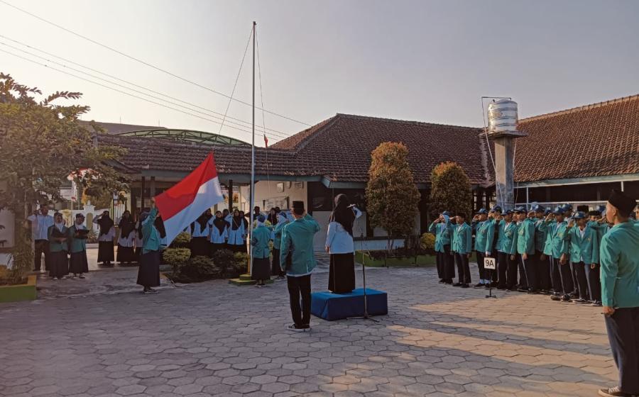 MTs7