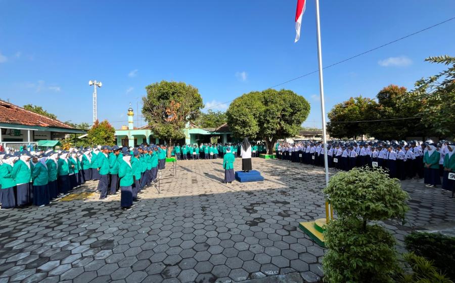 MTs7