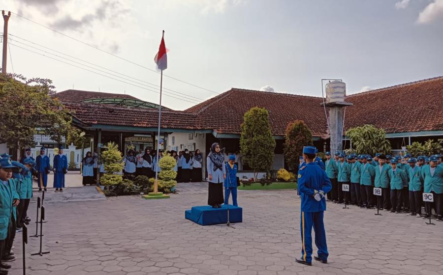 MTs7