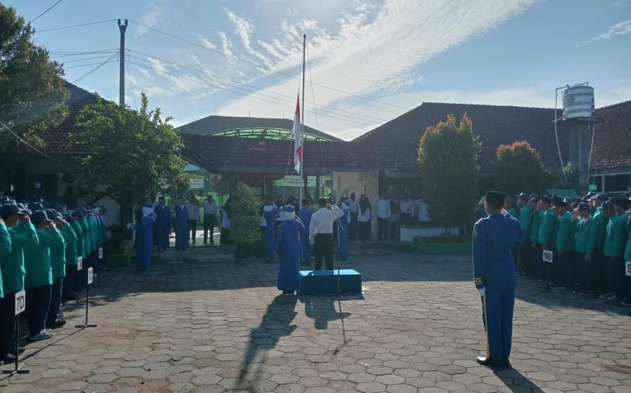 MTs7