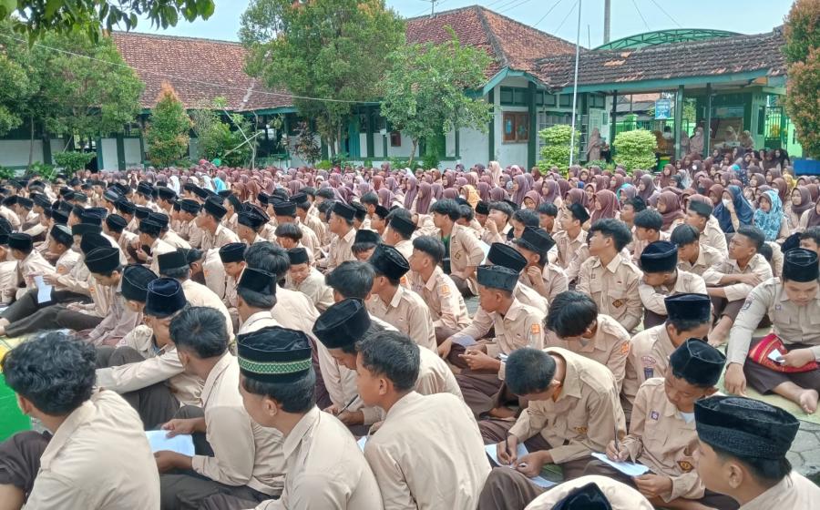 MTs7