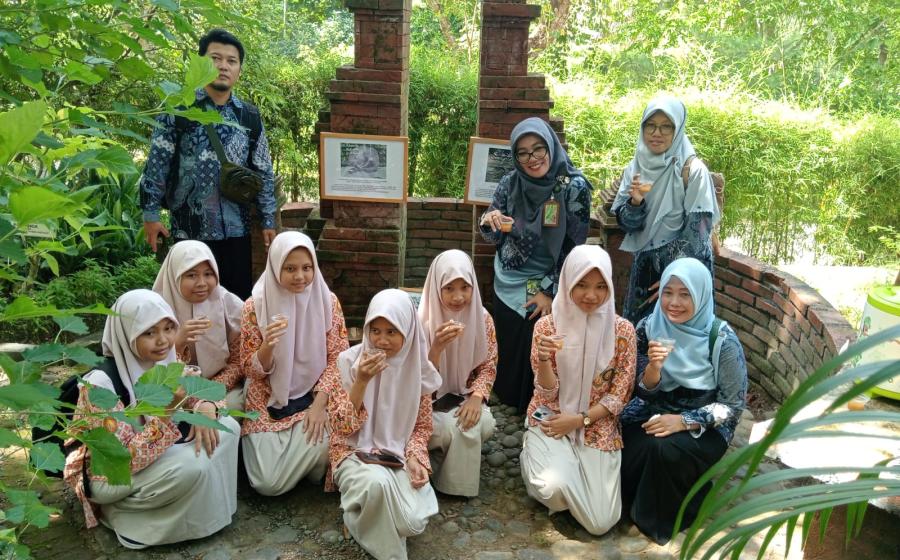 MTs7