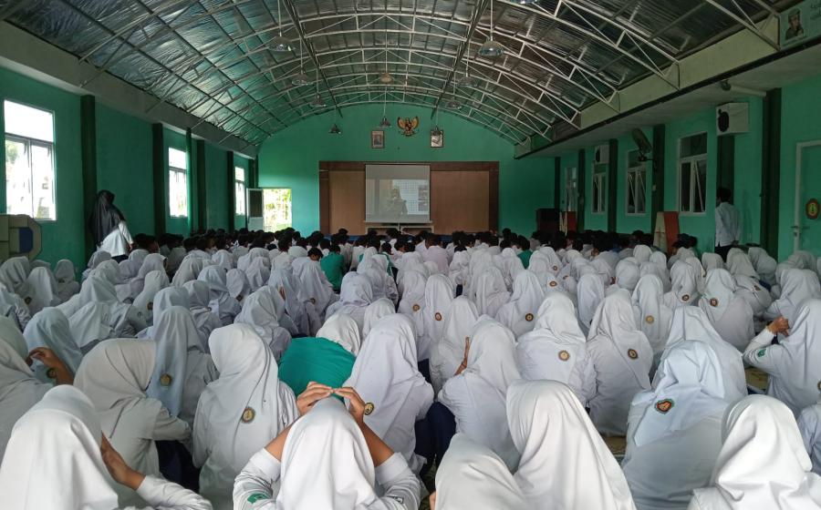 MTs7