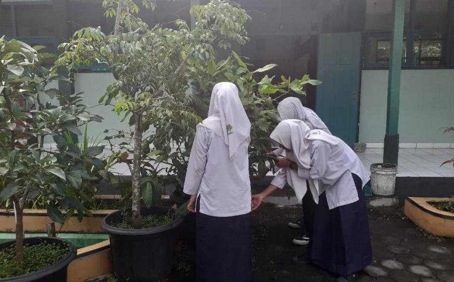 MTsN 5 Bantul